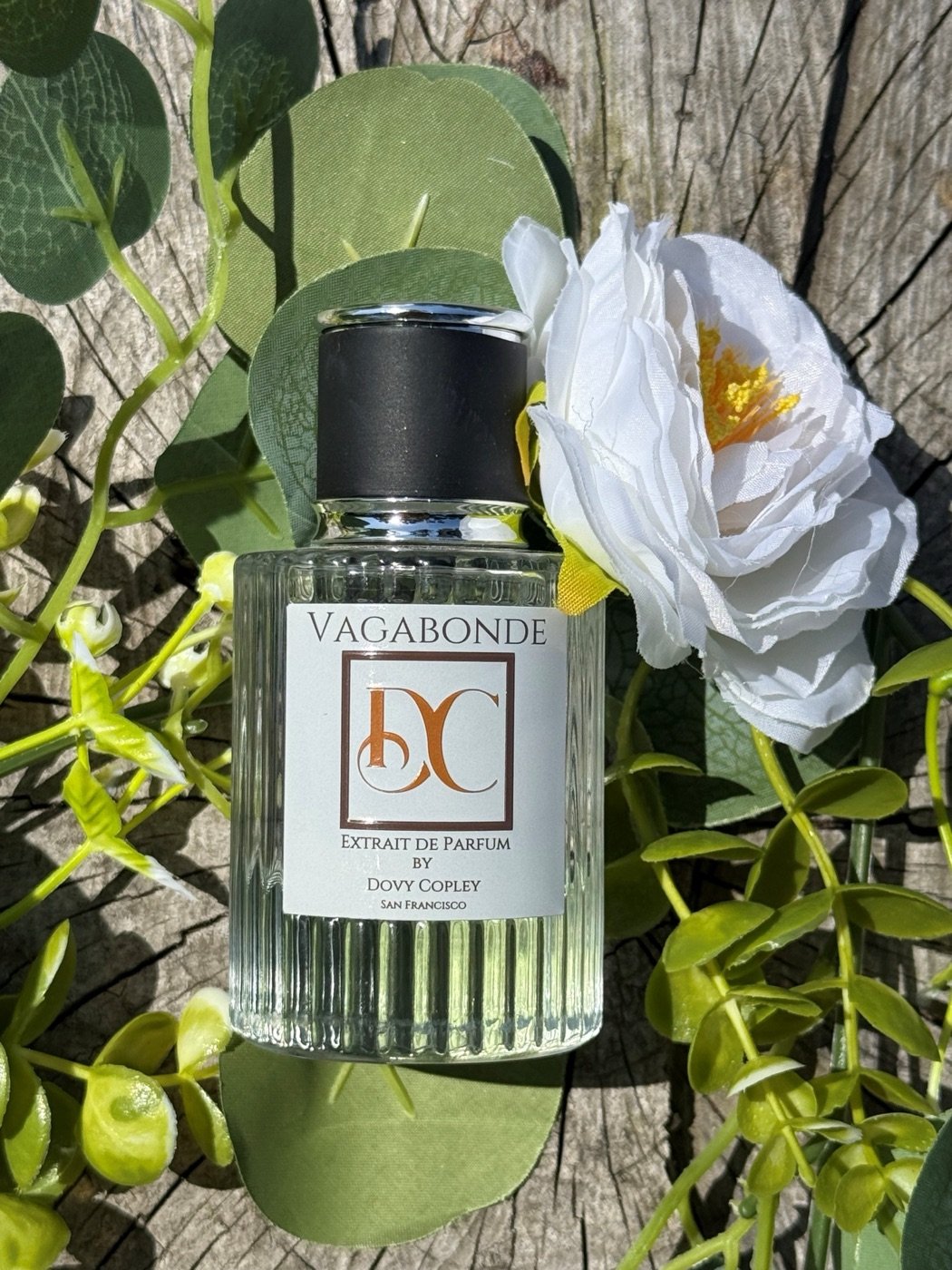 Vagabond