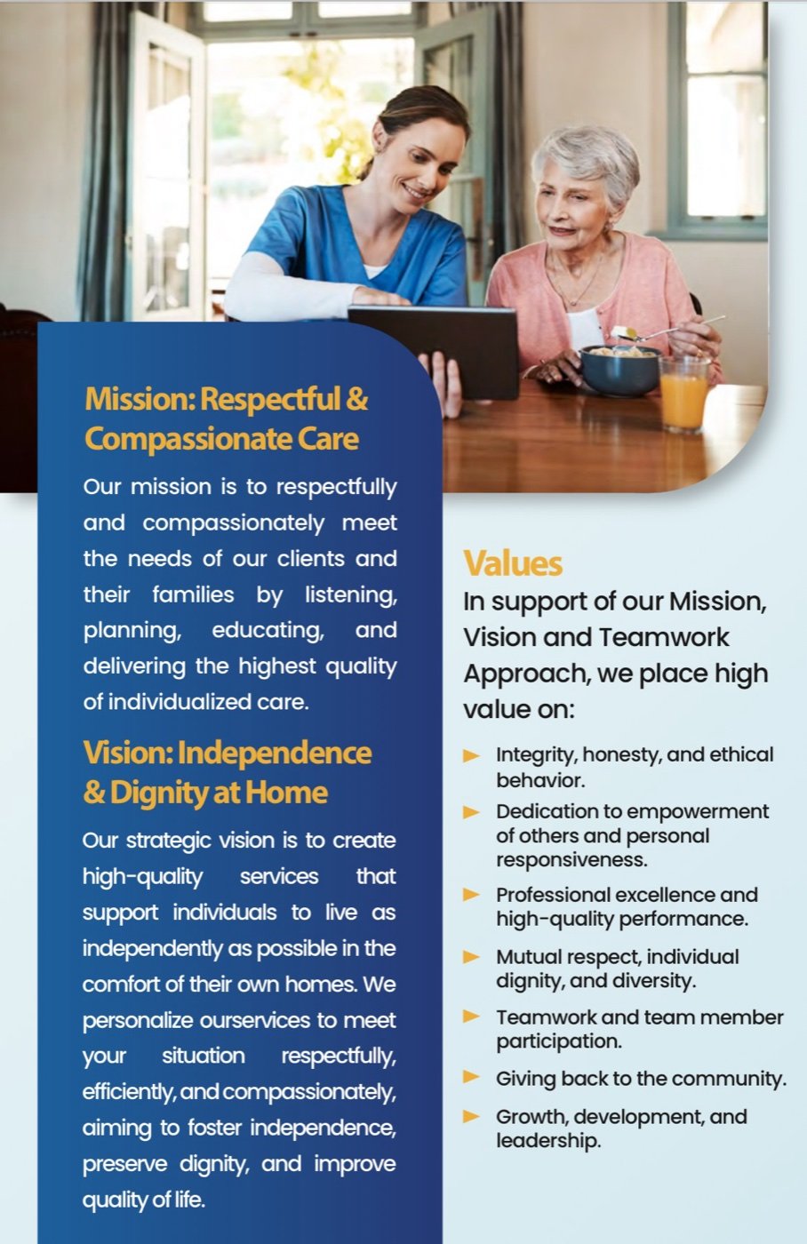 Brochure page: mission and values